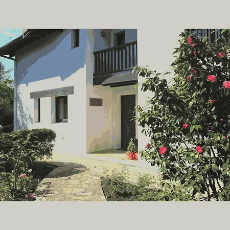 Villa Sejour Relaxant Dans Une Villa De Reve